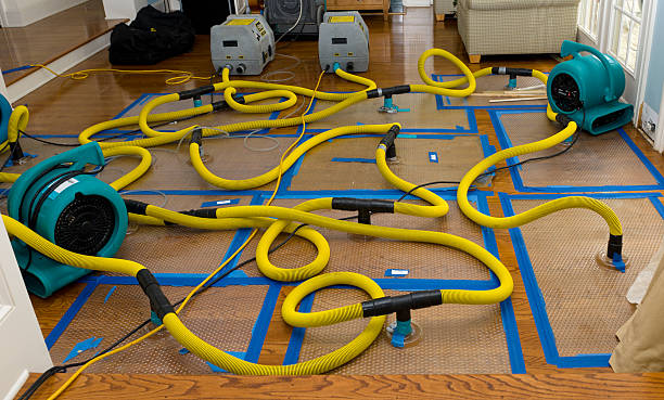 Professional Crawl Space Water Removal technician working in Downing, WI